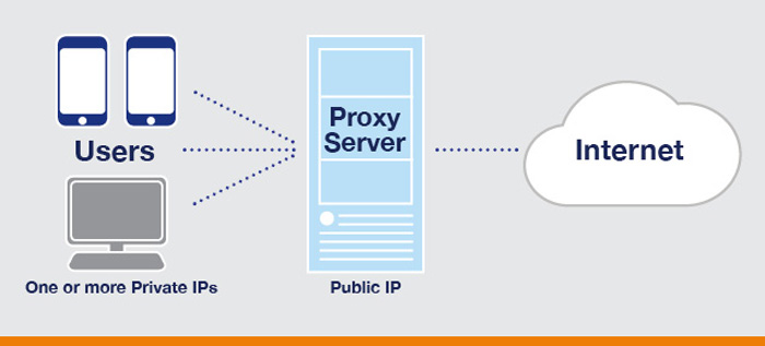 What Are the Benefits of Using a Proxy Server? - CactusVPN