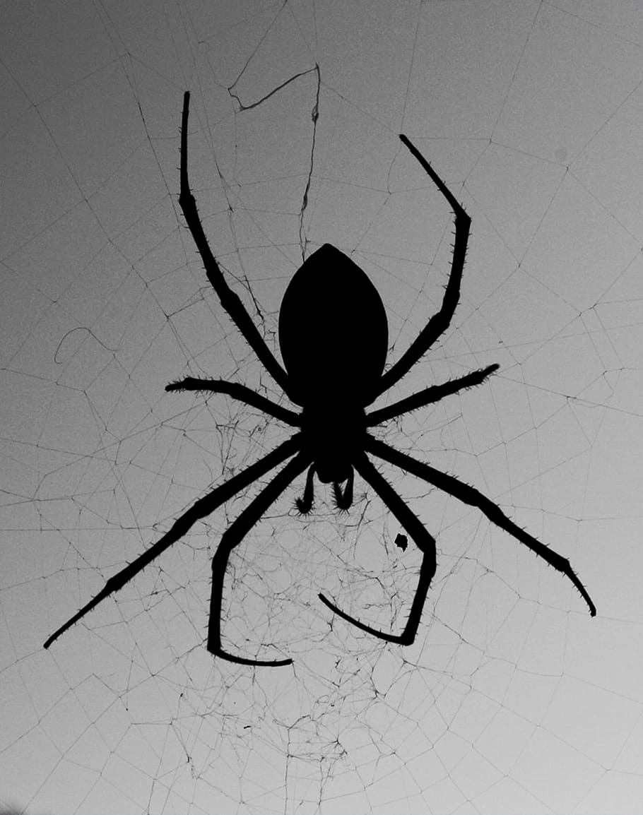 What Is a Web Crawler and How Does It Work | LITSLINK Blog