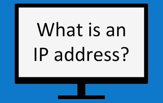 What Can Someone Do With Your IP Address? | CactusVPN